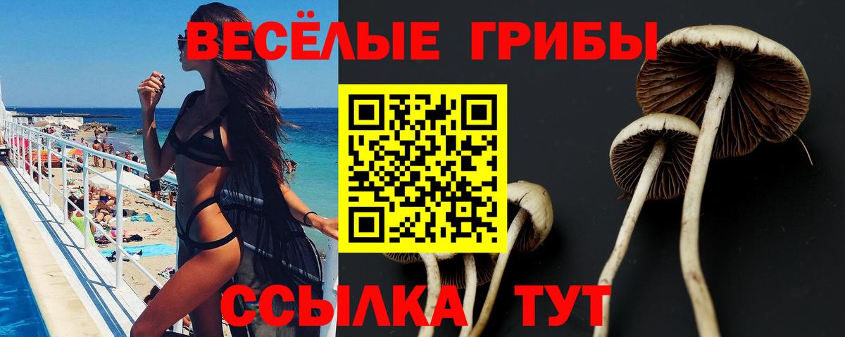 Псилоцибиновые грибы прущие грибы  Вход с VPN  Галлюциногенные грибы Magic Shrooms  Нововоронеж 