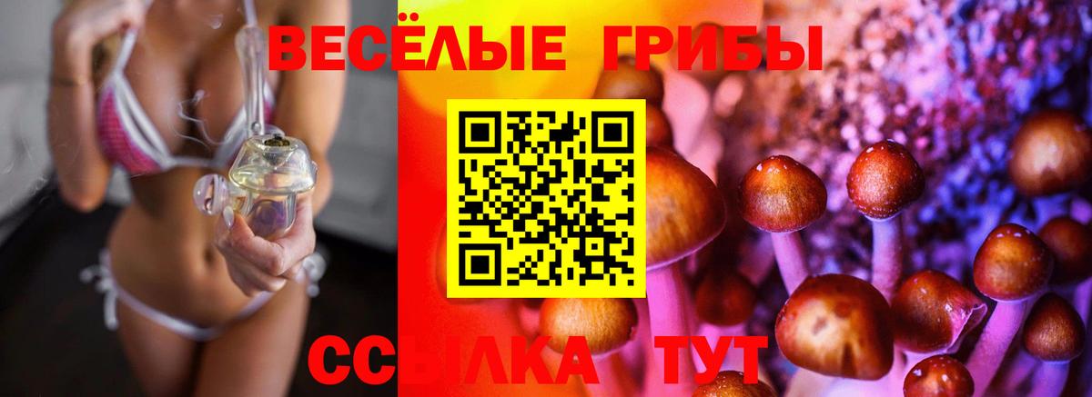 Псилоцибиновые грибы GOLDEN TEACHER Нововоронеж